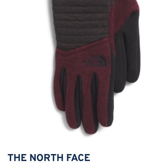 the north face women's indi etip gloves